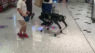 Robotic doggy serves shoppers with hand sanitizer