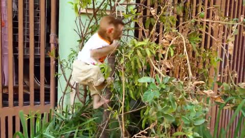 Most Adorable!! Smart Boy Koki Do Lip Smacking To Play With Mom So Funny