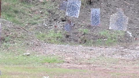 100 Yard Steel shooting