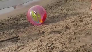 Toddler boy beach ball fall over