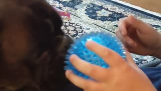 Adorable Dog's Tongue Does Funny Trick