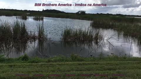 Viera Wetlands + Ritch Grissom Memorial Park + MELBOURNE + FLORIDA + ESTADOS UNIDOS + USA - Part 2/8