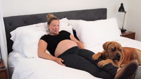 When Your Dogs Know You're Pregnant | Cutest Reactions