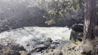 The Volcanic Dillon Falls Zone – Deschutes River Trail – Central Oregon – 4K