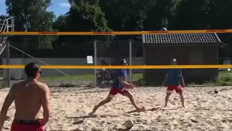 Volleyball dog