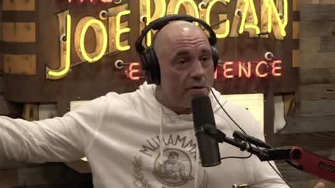 Joe Rogan: ‘How Many People Are Doing it Under the Guise of I’m an LGBTQ Educator!’