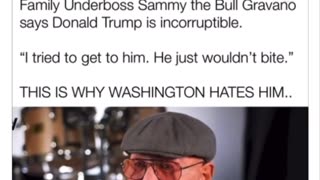 Sammy the Bull on the incorruptible TRUMP