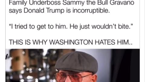 Sammy the Bull on the incorruptible TRUMP