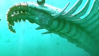 How The Anomalocaris Was The First Apex Predator!