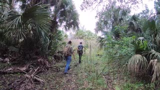 Ancient Florida Floodplain Mound with Wild Florida Adventures