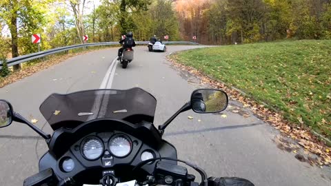 Schönbuch Biker - November Ride