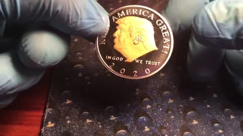 Donald Trump Gold & Silver Plated 2020 Coin