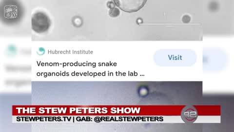 Researchers Continue to Find Venom: Additional Evidence Confirms Snake Venom Peptides in Bioweapon