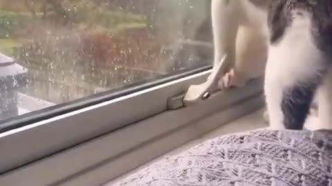 Escape through the window