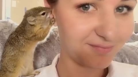 Squirrel loves to groom her owner