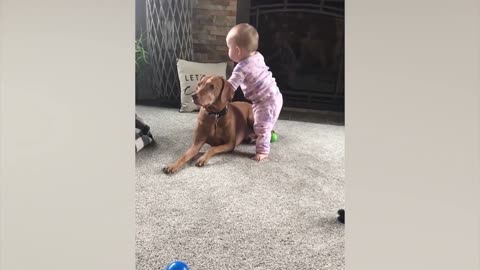 Cute Babies Playing With Dogs Compilation
