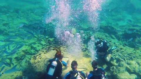 Cuban divers found a stone that was different from other stones.