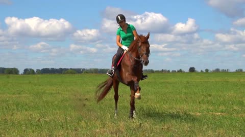 Woman ride horse hoof beats and play with rider