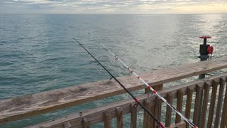 Pier fishing