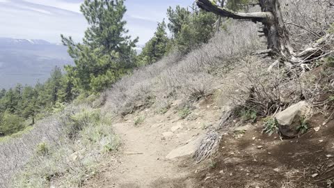 A Silent Reprieve as I Descend Down Black Butte Trail – Deschutes National Forest – 4K