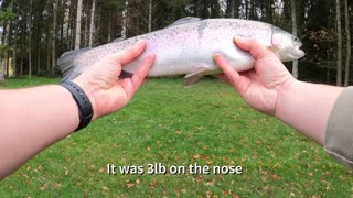 Lovely Trout Pond - Enjoyable Fly Fishing - Part 1
