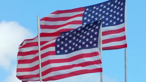 USA Flags in a Strong Wind