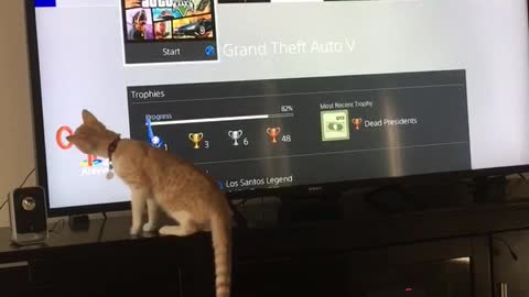 Cat watching tv and playing with shapes from television