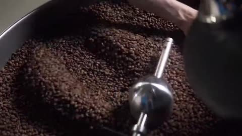 Coffee Bean Roasting Process