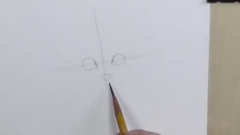 The Drawing Of A Cat's Nose