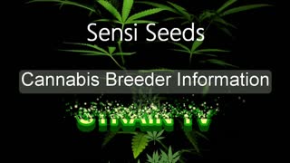 Sensi Seeds - Cannabis Strain Series - STRAIN TV
