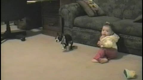 Baby Takes Her First Steps… Straight Into Doggy Doo Doo