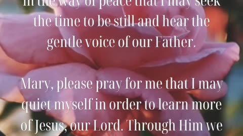 Assumption Novena Day 5 // #AveMaria #CatholicLife #Christian #LiturgicalLiving #Novena #Prayer