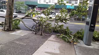 New York City Storm Damage
