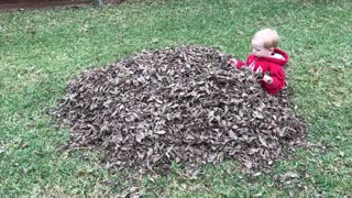 Kid hates leaf pile
