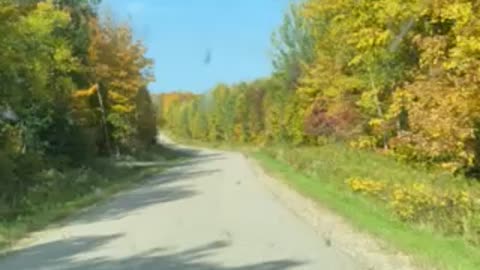 Northern Wisconsin Fall Drive
