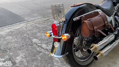 Harley Davidson Softail Deluxe FLSTN 2015