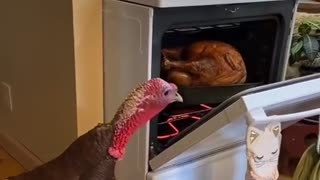 Hot News wishes everyone a happy Thanksgiving