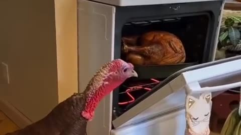 Hot News wishes everyone a happy Thanksgiving