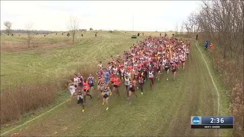 2014 NCAA men's cross country championship