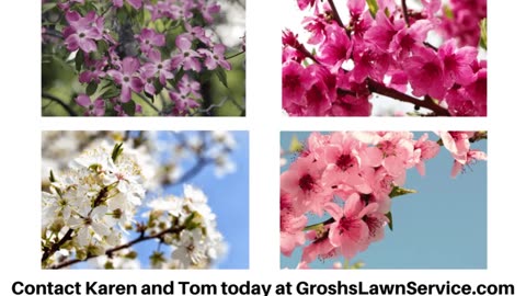 Flowering Trees Hagerstown Maryland Landscape Contractor