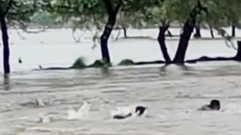 Police officer saving man in flooded water