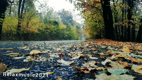 Sound of rain 🌧️ to relax and sleep 😴