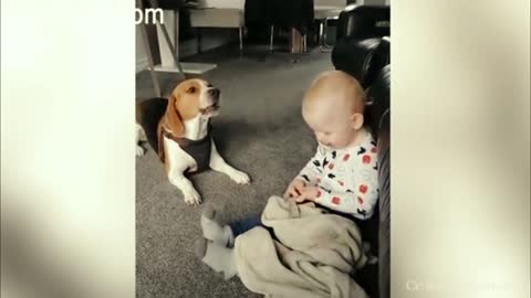 Puppies Love Babies Adorable A Cute Puppy and Baby Videos 2021