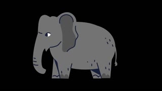 Elephant sound.
