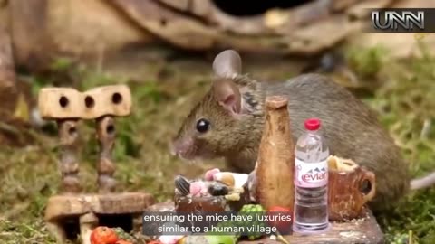 This charming mouse village has captured the hearts of over 150,000 social media followers!