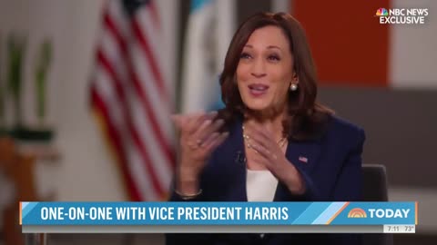 NBC Roasts Border Czar Harris For Claiming Admin Has Been to Border, Internet Goes Wild