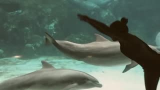 Girl Dance In Dolphin Aquarium