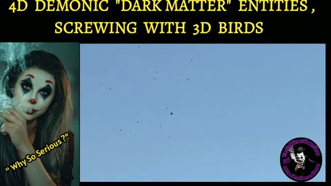 3D MATRIX BIRDS , TAKEN OVER BY 4D DEMONIC DARK MATTER ENTITIES....