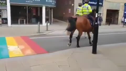 Police Horses Get Scared Of Rainbow Crosswalk Painted During Pride Month