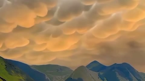 Dutch mammatus clouds over tulips